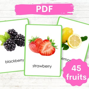 Druckbare echte Bild Obst Karten | 45 Montessori Karten | Nomenklaturkarten | Karteikarten | Sofortdownload | Englisch