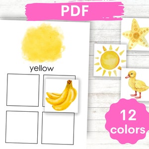 Colori - Taglia e incolla - Foglio di lavoro per l'ordinamento degli abbinamenti/Attività di abbinamento dei colori/Abilità motorie fini/PDF stampabile per bambini/Carte Montessori