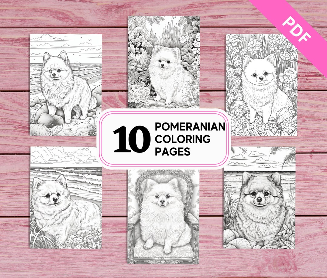 Pomeranian - 10 Cute Coloring Pages for Kids and Adults | Printable PDF ...