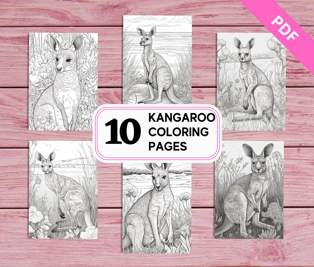 Kangaroo 10 Realistic Coloring Pages for Kids and Adults Printable PDF ...