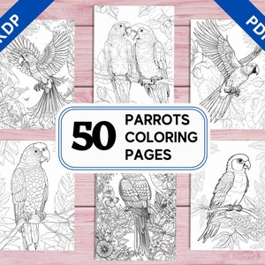 KDP Interior 50 Beautiful Parrots Coloring Pages for Adults  | 8.5&quot; x 11&quot; Printable PDF | Instant Download Colouring Sheets