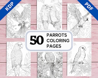 Dibujos de loros para colorear para adultos / 50 diseños imprimibles (PDF)
