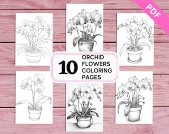 May include: Ten black and white coloring pages featuring orchid flowers in pots. The text "Orchid Flowers Coloring Pages" is in the center of the image.