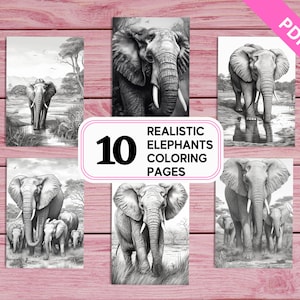 Elephant - 10 Realistic Coloring Pages for Kids and Adults | Printable PDF 10 Pages A4 | Instant Download | Greyscale Colouring Sheets