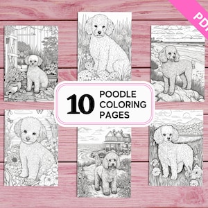 Può includere: Dieci pagine da colorare in bianco e nero con cani barboncini in varie ambientazioni. Il testo "10 Poodle Coloring Pages" è in un cerchio nella parte inferiore dell'immagine.