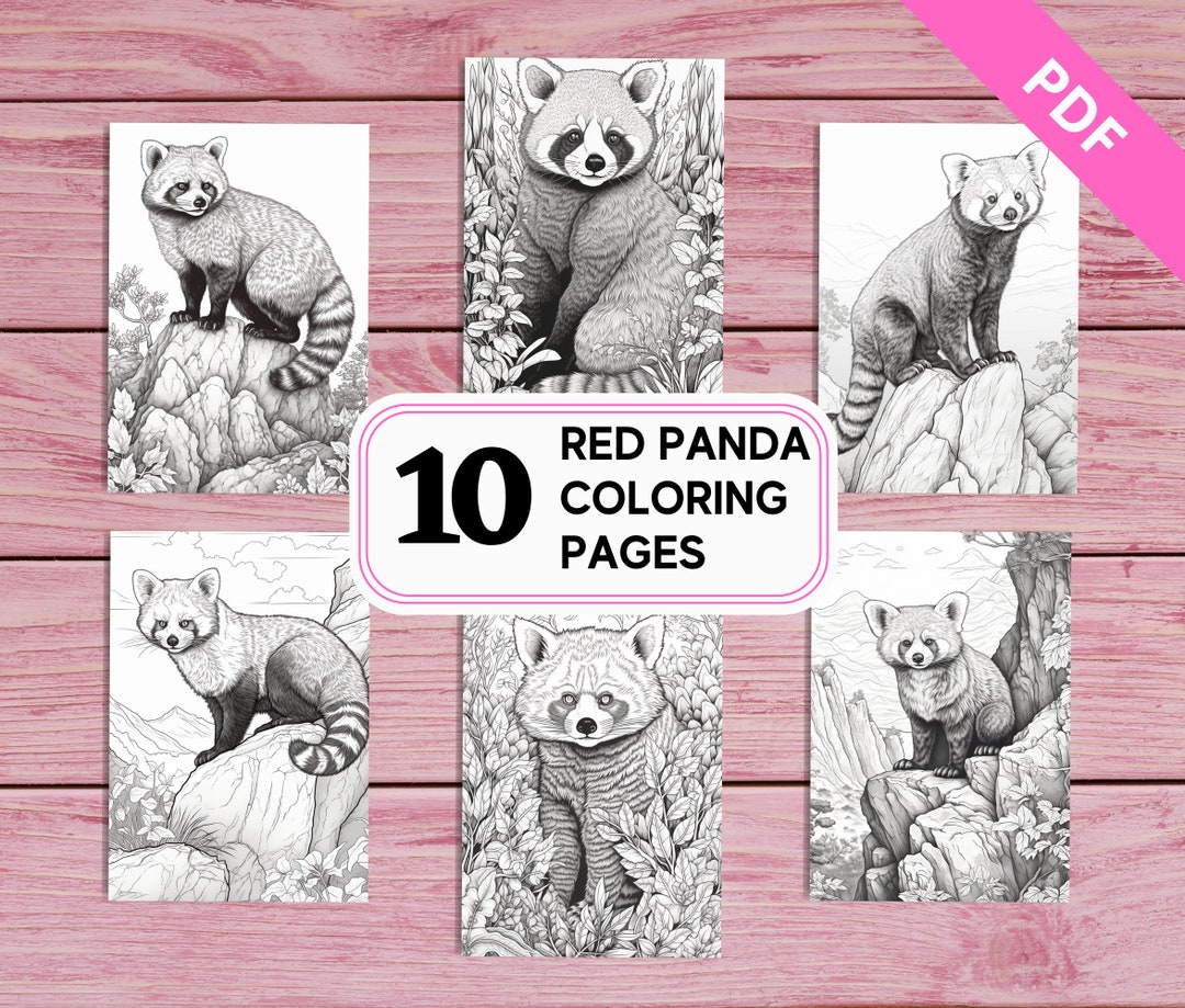 Red Panda 10 Realistic Coloring Pages for Kids and Adults Printable PDF