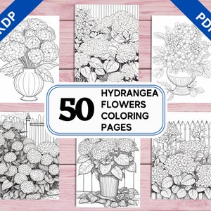 KDP Interior 50 Hydrangea Flowers Coloring Pages | 8.5&quot; x 11&quot; Printable PDF | Botanical Intricate Illustrations | Adults Coloring Book