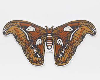 Atlas Moth Sticker