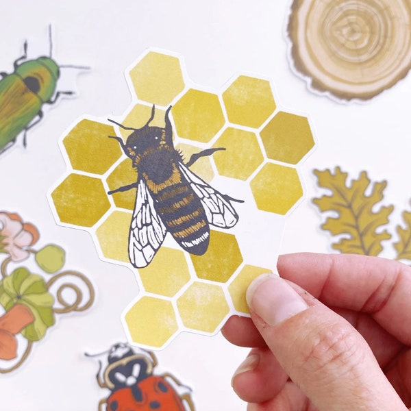 Honeybee Honeycomb Sticker