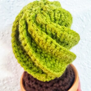 Hand crocheted spiral cactus in Terra cotta pot