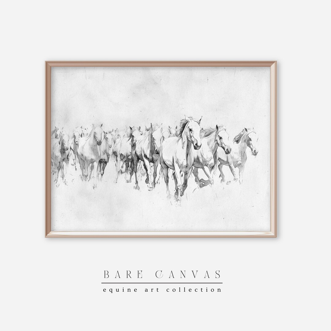 Horse Herd Line Art Print | Horse Art | Vintage Pencil Drawing | Equine ...