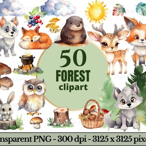 Forest clipart, Watercolor, porcini, chanterelles, berries, house, tent, fox, wolf, bear, owl, mole, hare, trees, clouds, sun