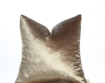 Luxury Champagne Velvet Pillow, Iridescent Silk Velvet Pillowcase