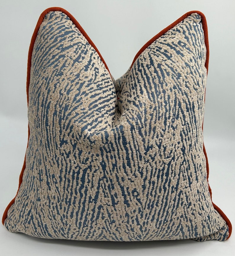 May include: A decorative throw pillow with a blue and white abstract pattern. The pillow has a rust-colored border.