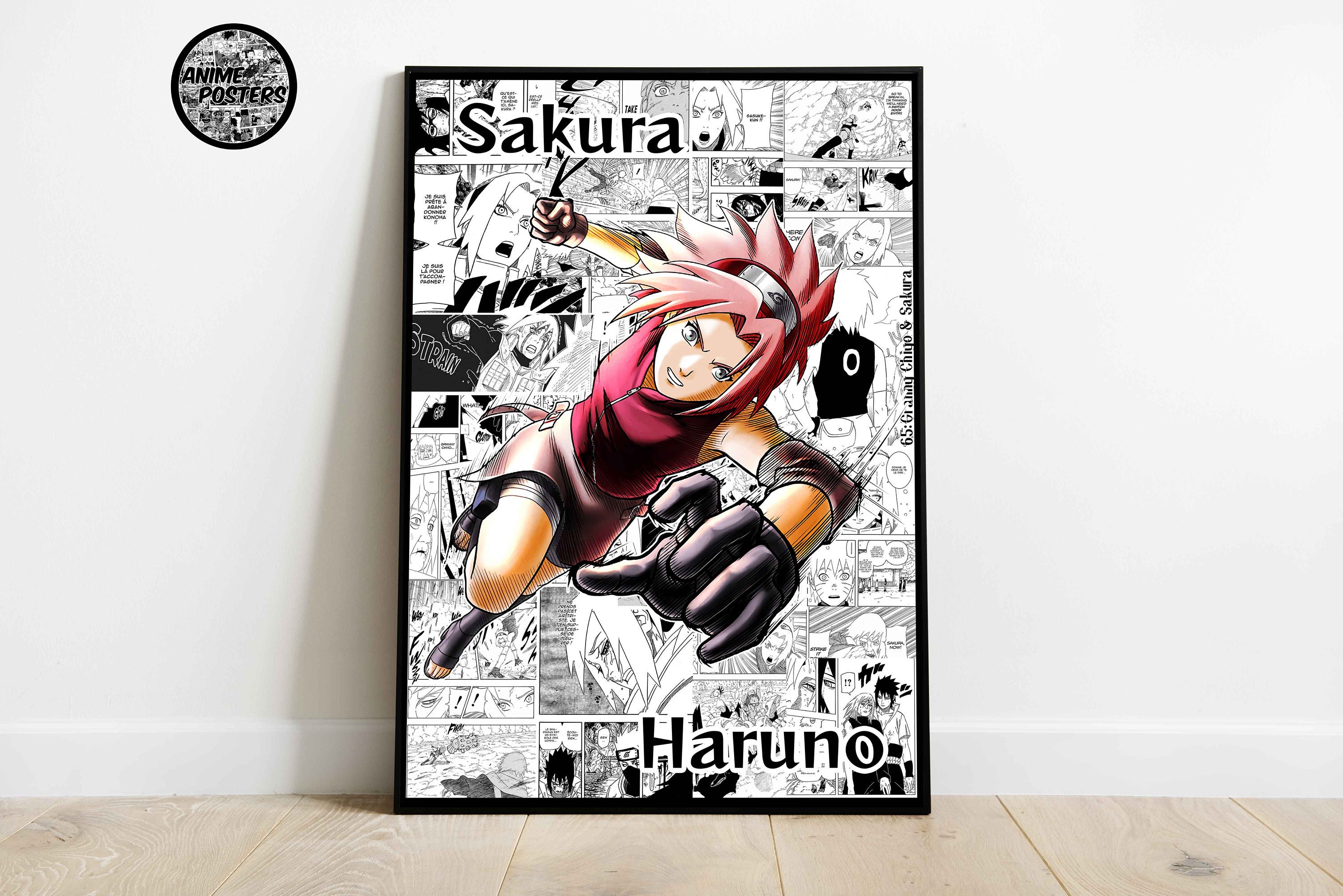 BD: Lançamento – Naruto vol. 30: Chiyo e Sakura