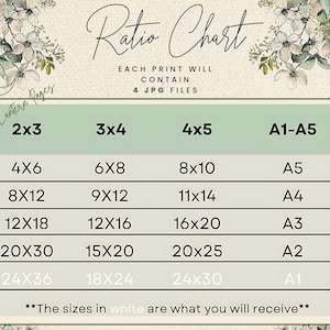 Pu&ograve; includere: Un grafico dei rapporti di formato con un bordo floreale. Il grafico elenca i formati di stampa come 2x3, 3x4, 4x5 e A1-A5, con le dimensioni corrispondenti in centimetri. Il testo "Ratio Chart" &egrave; in alto.