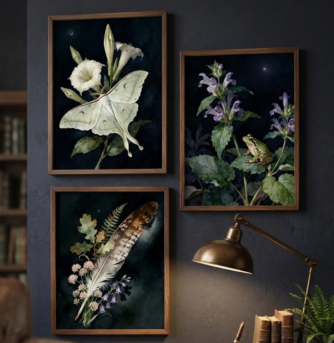 Nocturnal Garden Wall Art Set of 3 | Moody Botanical Print | Dark ...