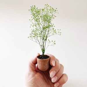 Dollhouse plant in terra cotta planter. Bright green plant made of 100% naturally preserved baby's breath perfect for adding charm to dollhouse decor, entryway or greenhouse.