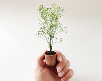 Dollhouse Plant - Miniature potted plant for dollhouse decor, entryway and greenhouse