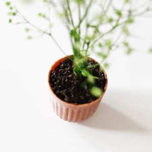 Dollhouse plant in terra cotta planter. Bright green plant made of 100% naturally preserved baby's breath perfect for adding charm to dollhouse decor, entryway or greenhouse.