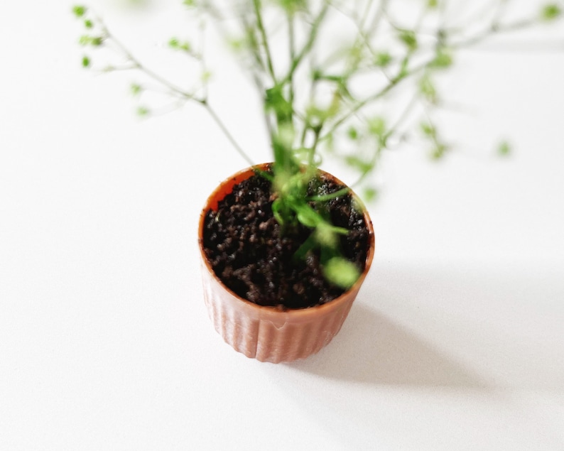 Dollhouse plant in terra cotta planter. Bright green plant made of 100% naturally preserved baby's breath perfect for adding charm to dollhouse decor, entryway or greenhouse.