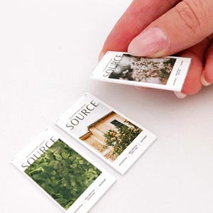 May include: Miniature magazines with the word "SOURCE" on the cover. One magazine shows a floral arrangement, another a building with greenery, and the third, a close-up of green leaves. The magazines are held by a person.
