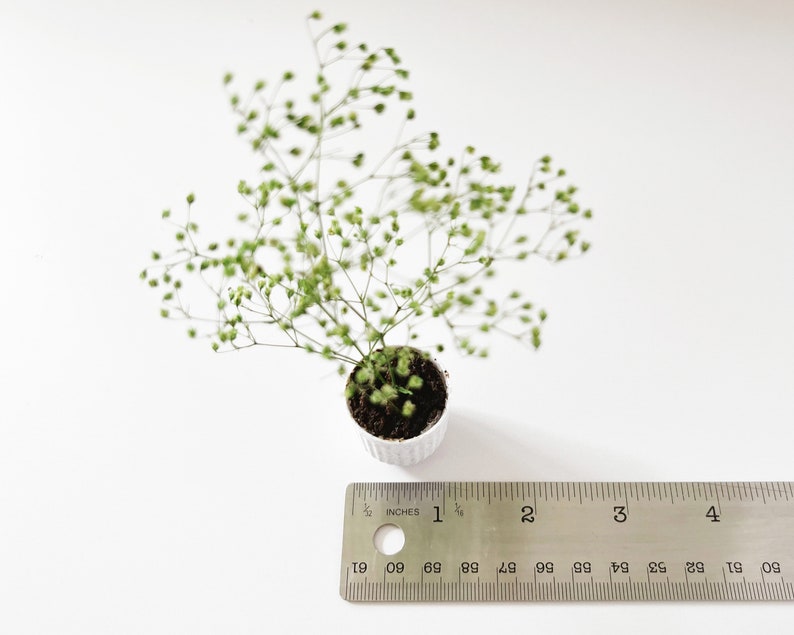 Dollhouse plant in faux stone planter. Bright green plant made of 100% naturally preserved baby's breath perfect for adding charm to dollhouse decor, entryway or greenhouse.