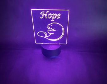 Personalized LED Night Light, Rocket, Unicorn, Turtle, Paw