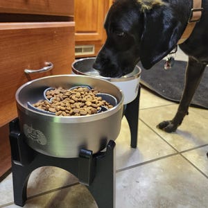 Raised Dog Bowl Collapsible Feeder - Fits- Toadfish - Yeti - RTIC