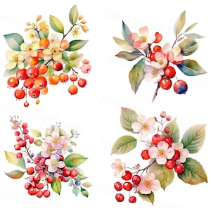 Set of watercolor illustrations of red berries on the branch, isolated PNG lingonberries clipart, nordic berries, scandinavian botanical