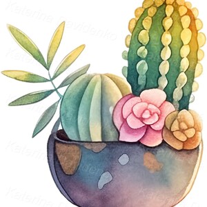 Watercolor Cactus PNG Clipart, Collection of Succulent Clip Art, Cacti ...