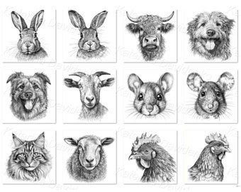 Collection of graphic portraits of pets and farm animals for t-shirt design, digital download, printable face animals clipart