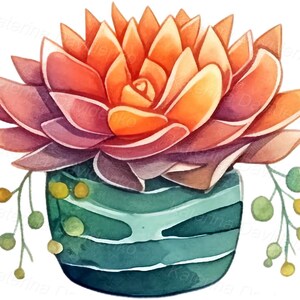 Watercolor Cactus PNG Clipart, Collection of Succulent Clip Art, Cacti ...