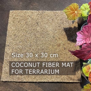 Peut inclure: Un tapis carré en fibre de coco, de 30 x 30 cm, pour terrarium. Le tapis est de couleur marron naturel et a une surface texturée. Le texte "COCONUT FIBER MAT FOR TERRARIUM" est imprimé sur le tapis. Des plantes colorées aux feuilles rouges, vertes et orange sont à côté du tapis.