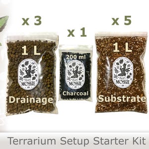 Kit de démarrage pour terrarium tropical avec boules d'argile de drainage, charbon de bois et mélange de substrat. Système de couches complet