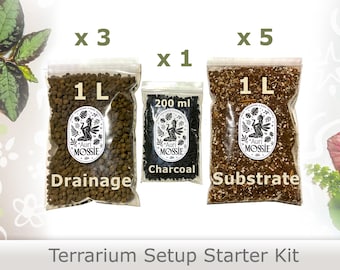 Kit di base per terrario tropicale con sfere di argilla drenante, carbone e miscela di substrato. Sistema completo di stratificazione.