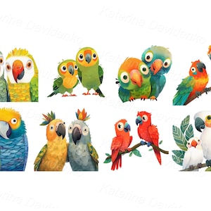 Watercolor PNG clipart set of funny cartoon parrots. Portrait of cute parrot family, digital download
