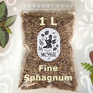 Può includere: Un sacchetto di plastica trasparente contenente 1 L di sfagno fine. Il sacchetto presenta un'etichetta bianca con il testo Auri Mossie, Smart Terrariums & Rare Tropicals e Fine Sphagnum. Il contenuto è materiale vegetale marrone e fibroso.