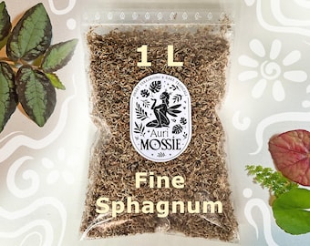 Premium Sphagnum Moss 1L – Natural Moss for Terrariums, Orchids, Begonias, Jewel Orchids and Tropical Plants
