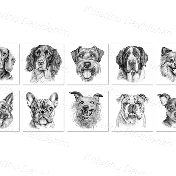 Set of friendly dog different breed Black and white portraits for t-shirt design Graphic drawing chihuahua bulldog schnauzer dachshund