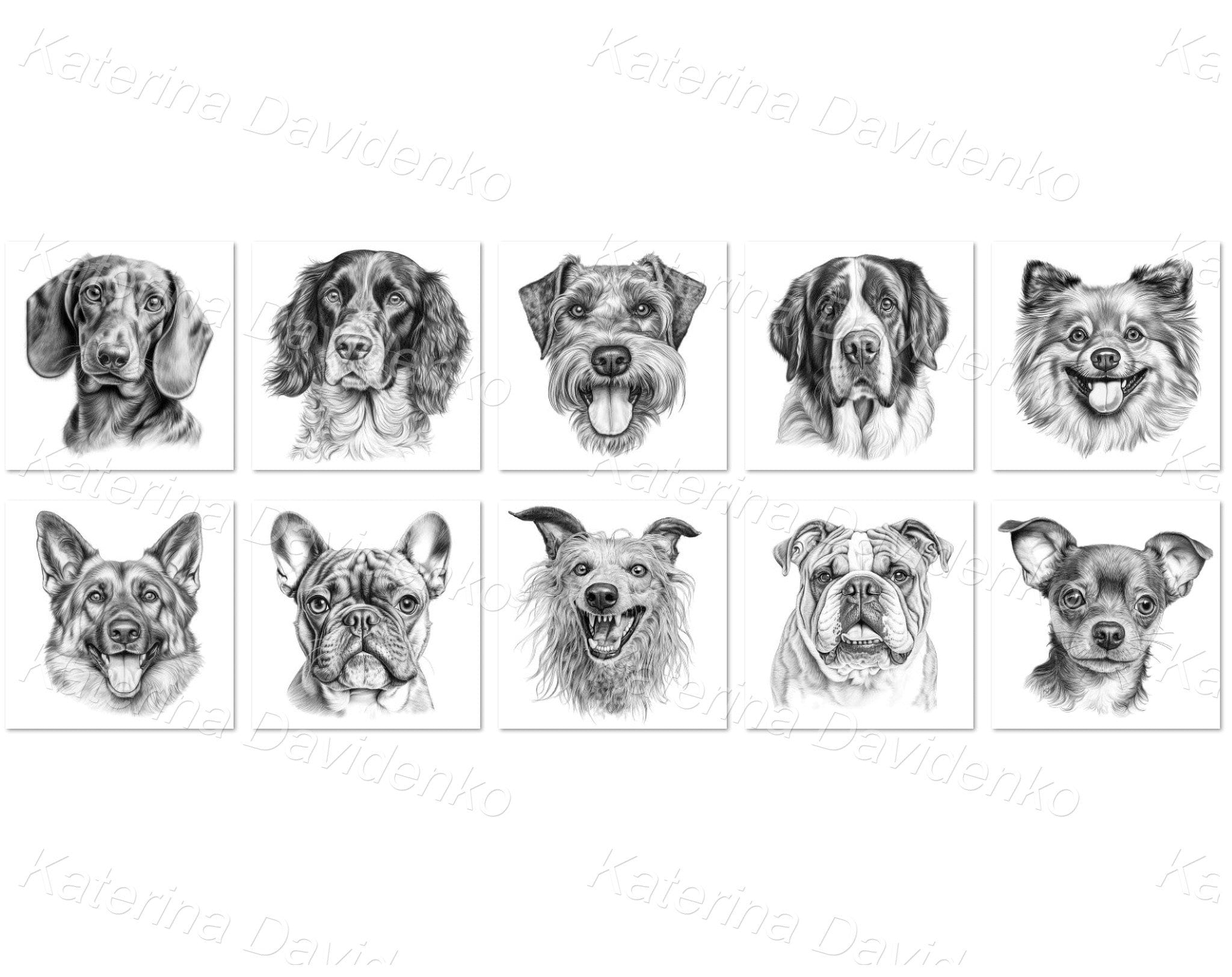 Set of friendly dog different breed Black and white portraits for t-shirt design Graphic drawing chihuahua bulldog schnauzer dachshund