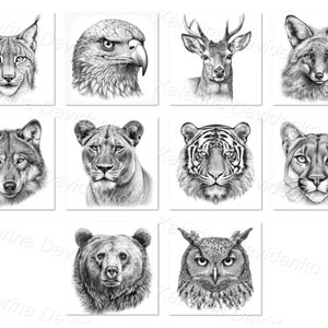 Wild animals drawing deals