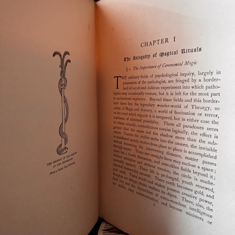May include: An open book with text and an illustration of a serpent coiled around a staff. The page is from a book titled "The Serpent of the Rainbow" and discusses magical rituals.