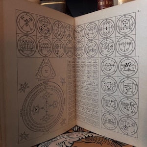 Op de afbeelding: Open boekpagina's met ingewikkelde zwart-wit illustraties van zegels, cirkels en geometrische vormen. Er is ook tekst in het Hebreeuws en Engels aanwezig. Het boek lijkt een historische of occulte tekst te zijn.