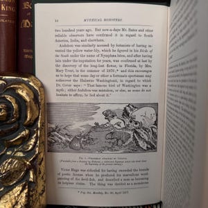 May include: A black and white illustration of a mythical sea creature, an octopus, attacking a fisherman. The illustration is from a book about mythical monsters. The text below the illustration reads "Fisherman Attacked by Octopus (from a drawing by Hokusai, a celebrated Japanese artist who lived at the beginning of the present century)"