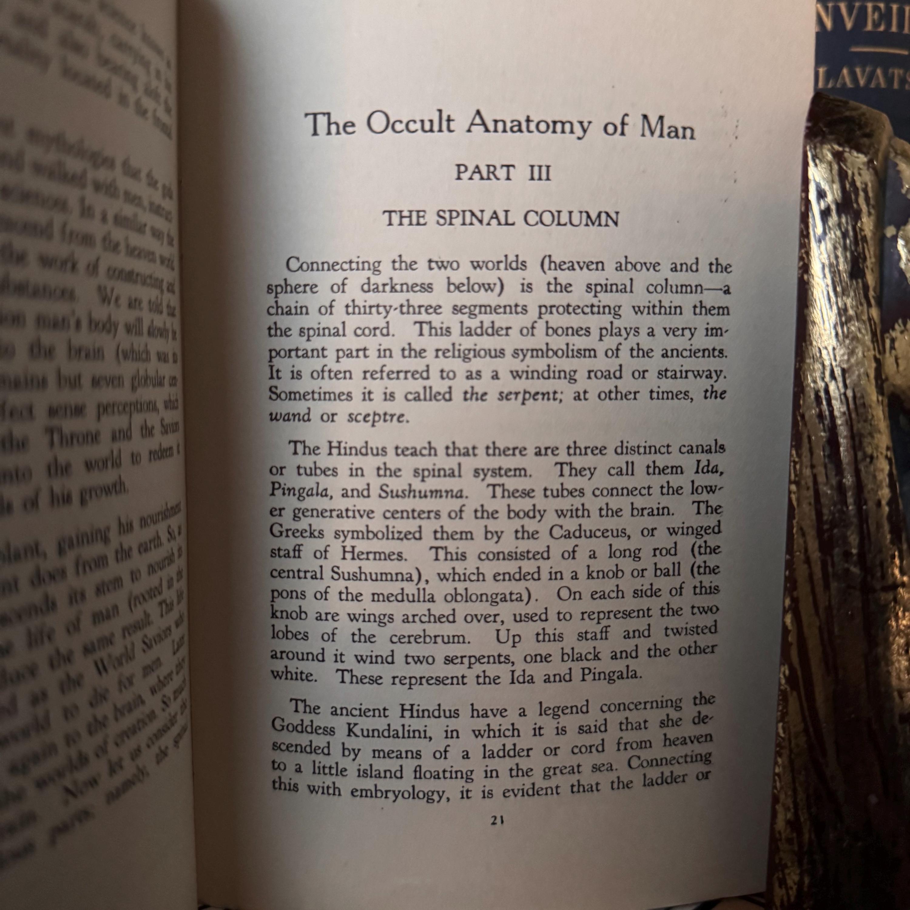 The Occult Anatomy of Man, Manly P Hall (1929) New Age Theosophy ...