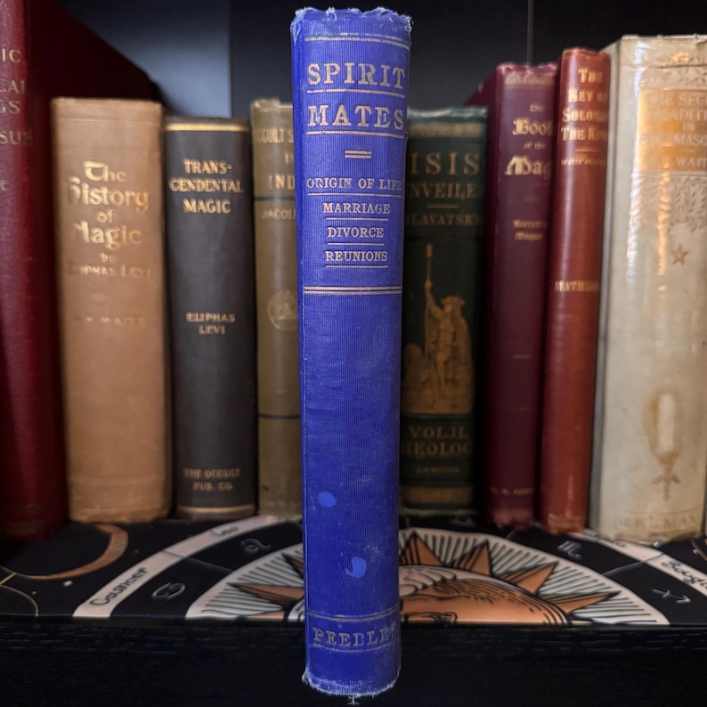 May include: A blue hardcover book titled "Spirit Mates" with the subtitle "Origin of Life, Marriage, Divorce, Reunions". The book is on a bookshelf with other books.