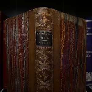 May include: Close-up of the spine of a brown leather-bound book with gold lettering. The title reads "PRIMITIVE MAN. FIGUIER."