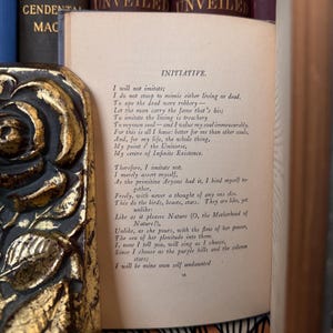 Puede incluir: Un libro abierto con el t&iacute;tulo "INITIATIVE" y un poema impreso en papel envejecido. El libro est&aacute; flanqueado por una cubierta de libro decorativa dorada y negra con un dise&ntilde;o floral. El t&iacute;tulo "UNVEILED" es visible en la parte superior.