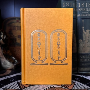 May include: An orange hardcover book with silver hieroglyphs on the cover. The book has a textured finish and is positioned next to other antique books with dark blue covers. The book is upright.